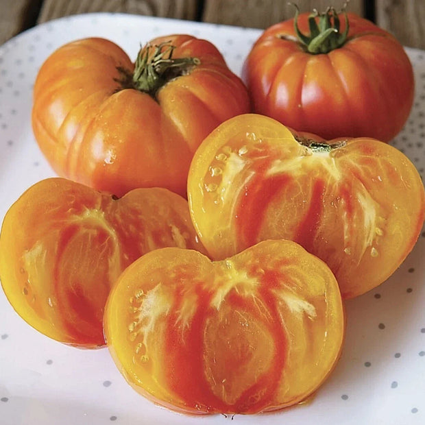 Pineapple Tomato Seeds, NON-GMO Heirloom, Bi-Colored Beefsteak, Solanum lycopersicum, Organic Gardening Supplies