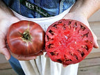 Cherokee Purple Tomato Seeds - 30+ Heirloom Non-GMO Seeds - Fresh Organic Gardening Supplies